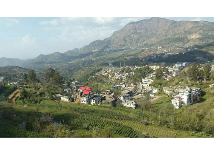 Cottage 5 Solan Buitenkant foto